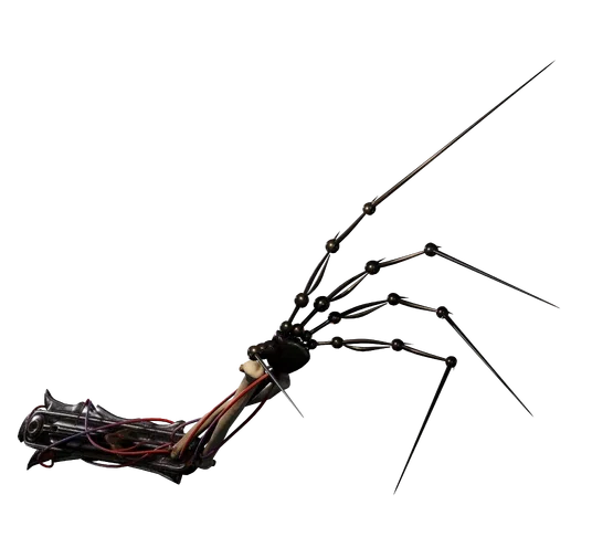 Le Prototype