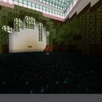 Builder 2