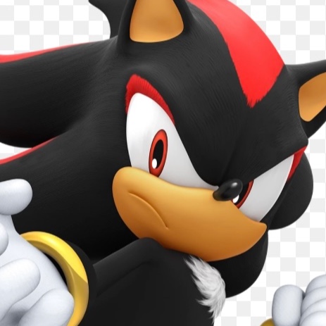 Shadow The Hedgehog