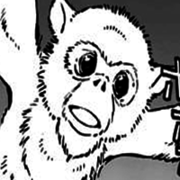 Monkeys