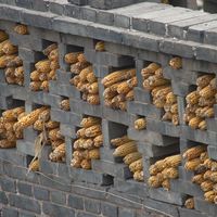 The Cornwall Gentleman