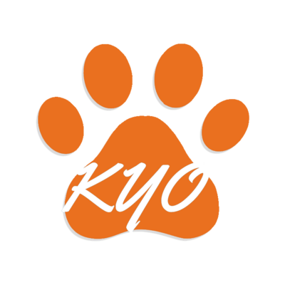 kyoanime