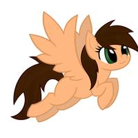 jj pony
