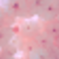 VL_Clear