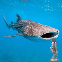 shaleshark