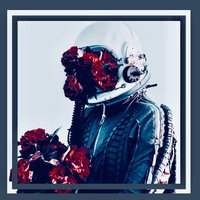 SolarRoseProductions