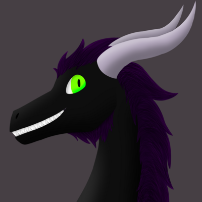 RavenDragons