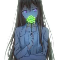 Moonflower