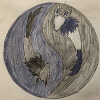 Acetheshadeon