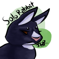 SoloRabbit
