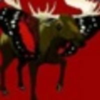 fairygodmoose