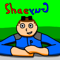 shaeguy