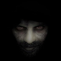 The Crow Flies