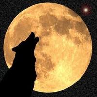 shadowwolf289
