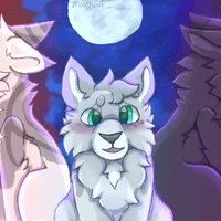 Mohjiwolf