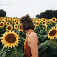 dreamyflvee