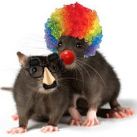 Rat Clown Studios