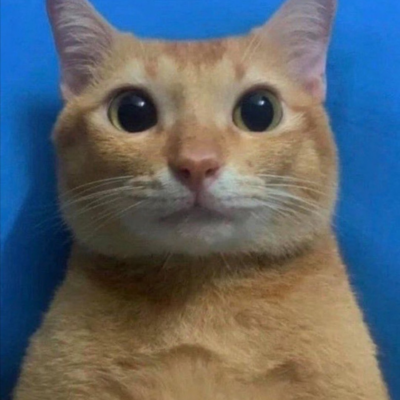 zmoofi