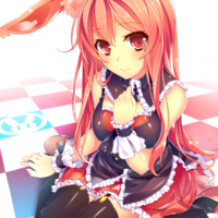 ecchibunny