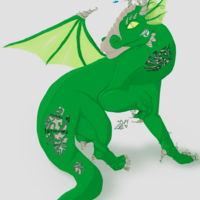 DragonMiracles