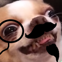 LoganDemp