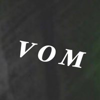 Voice Of Many