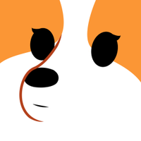 CorgiBootie