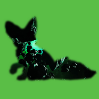 That Fox