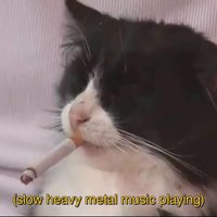 soulxstlr
