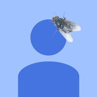 111717official