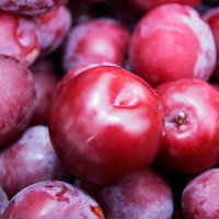 plum salesman