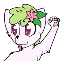 Ambroise the mew