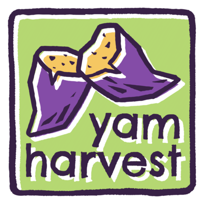 yam harvest