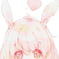lily-air