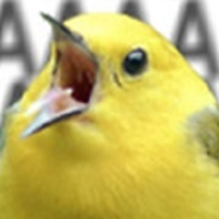 CATimelord-Voice