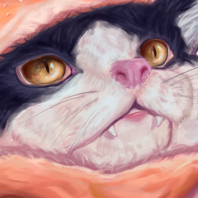 MoonBunny