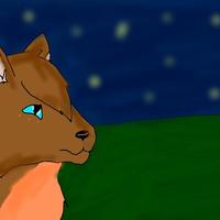 foxfang51