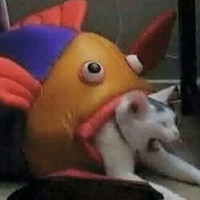 NokosiVA