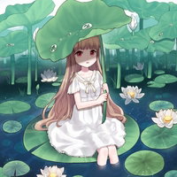 LillyPads127