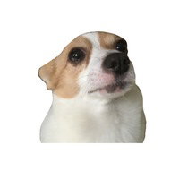 Mishtruo