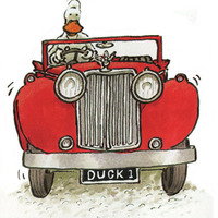 duck_cookie