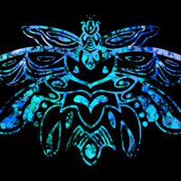 YinRae