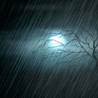 darkrainynights