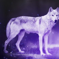moonwolf