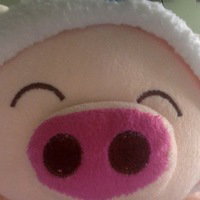 Sakura Schwein