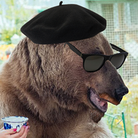 dustysox