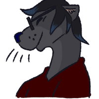 ColourWinterGuardFen