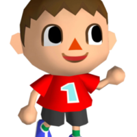 The Villager