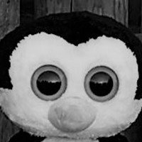 Paranoid Penguin