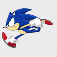 SANICBOI
